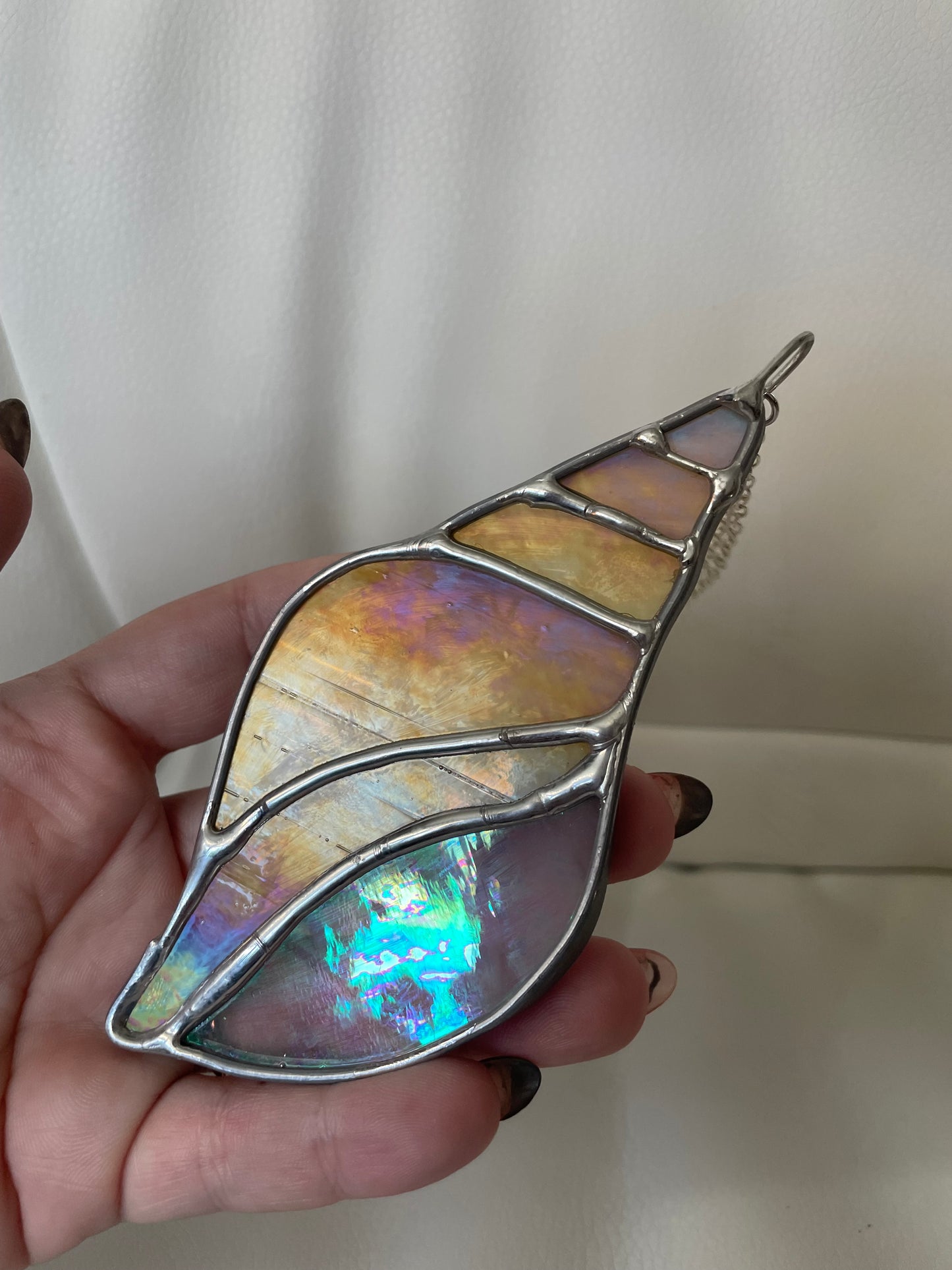Sand iridescent seashell