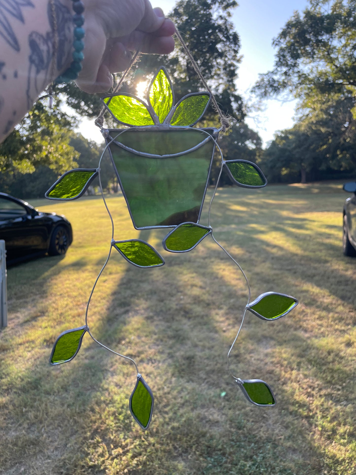 Hanging pothos in a green pot