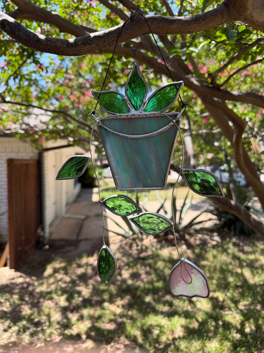 Hanging plant in pink and blue