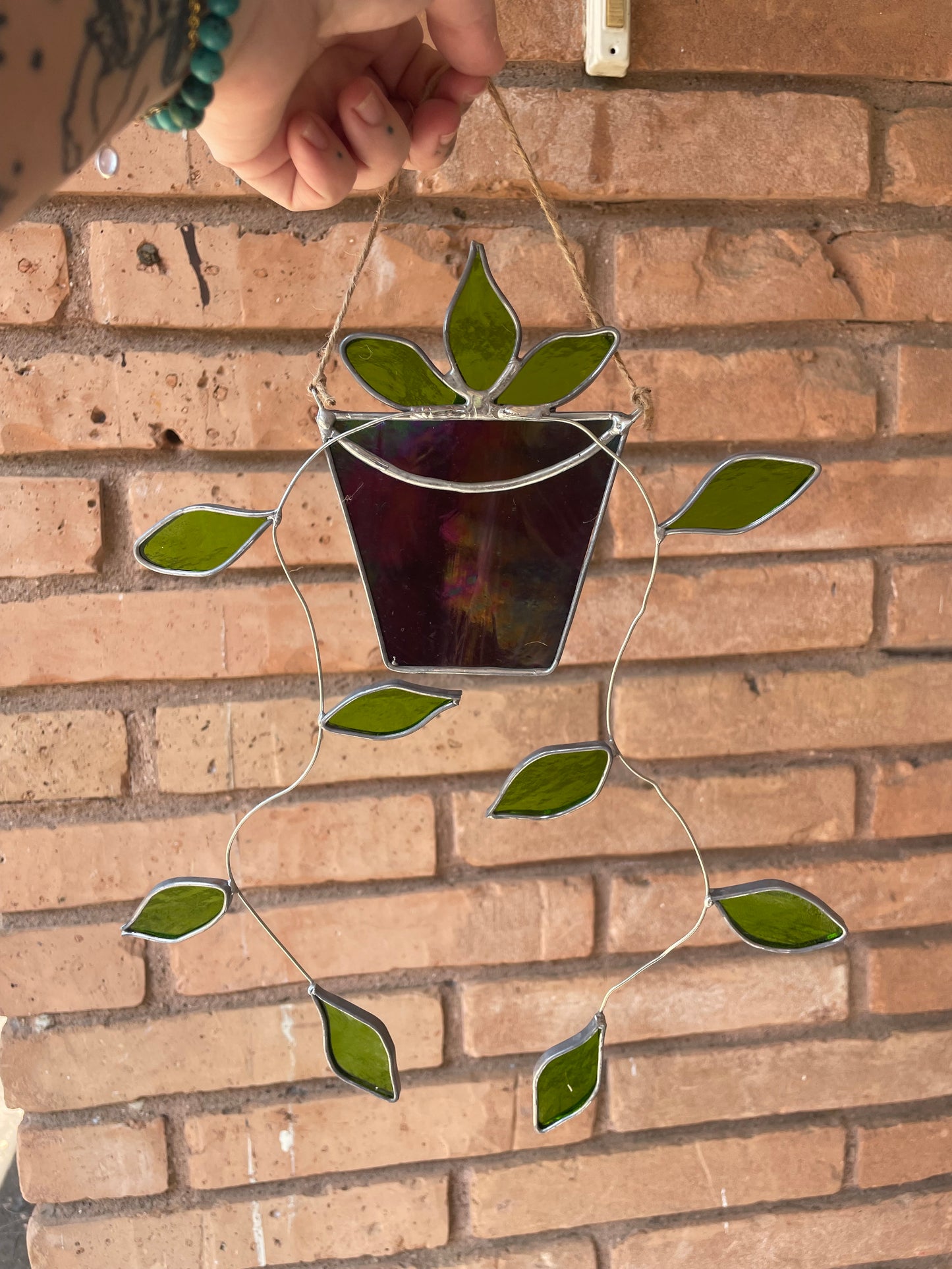 Hanging pothos in a purple pot