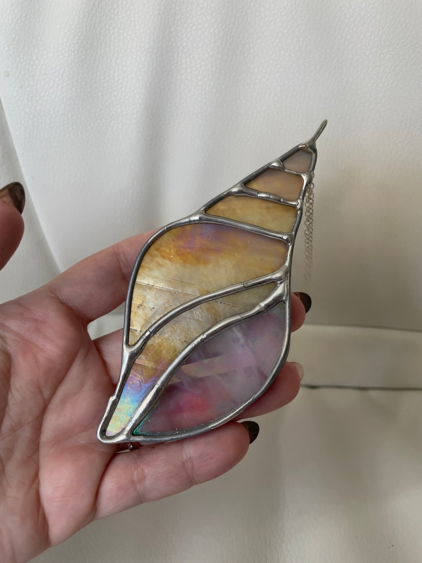 Sand iridescent seashell