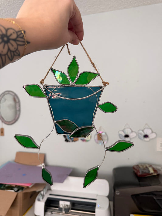 Hanging pothos plant in a blue pot