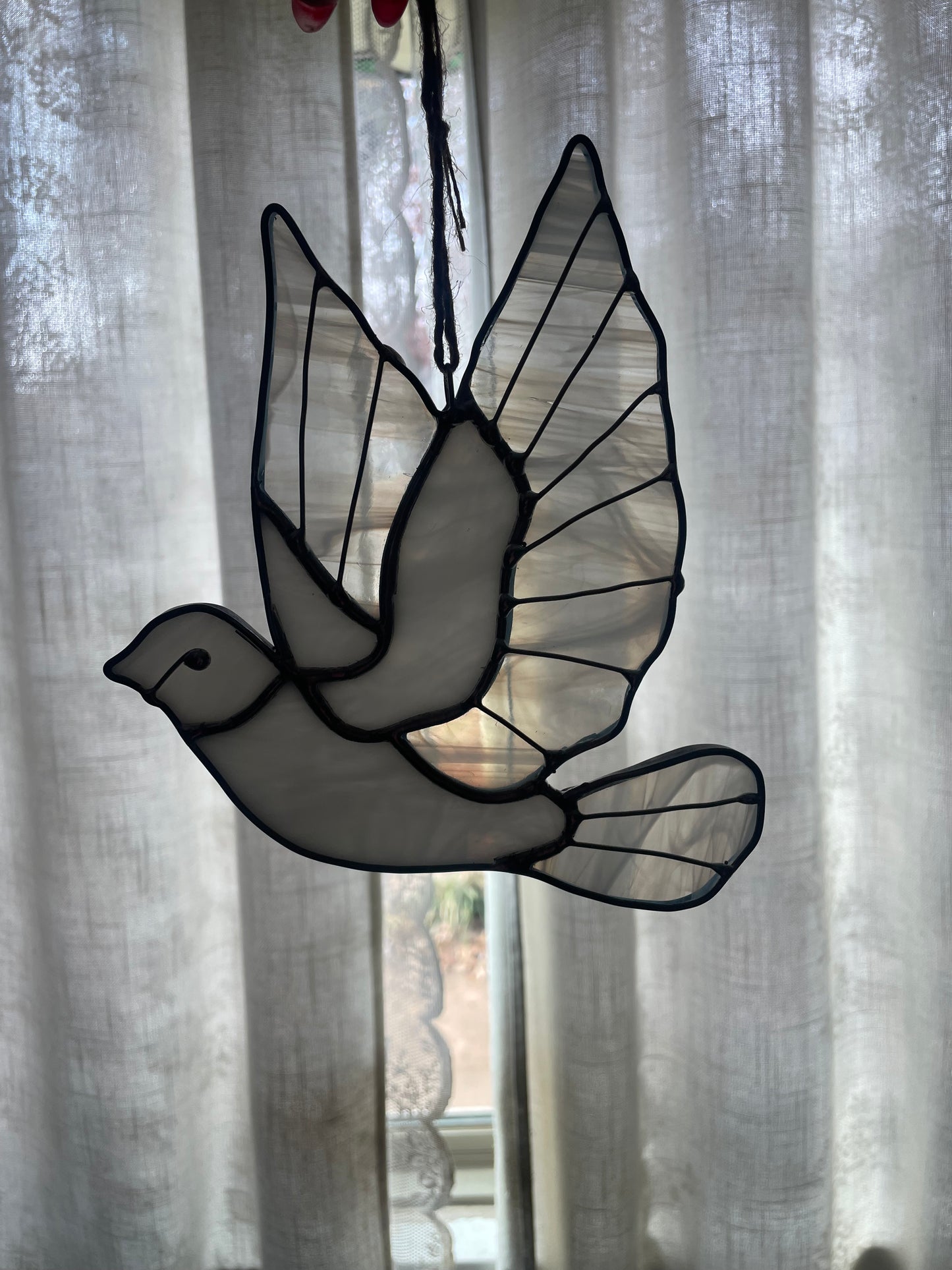 Dove of peace