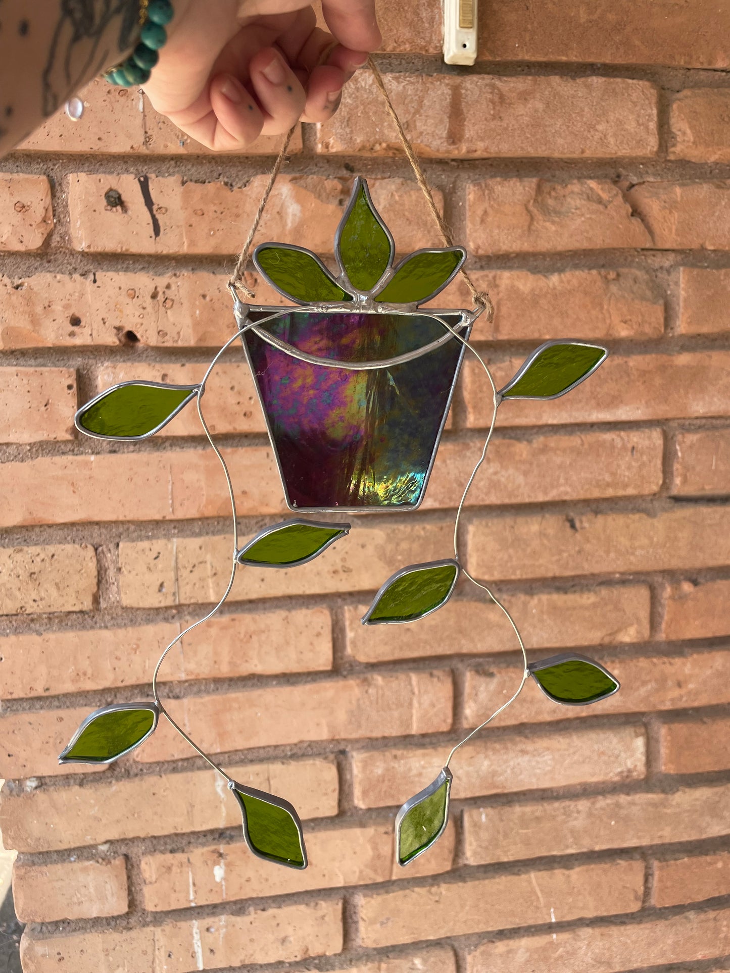 Hanging pothos in a purple pot