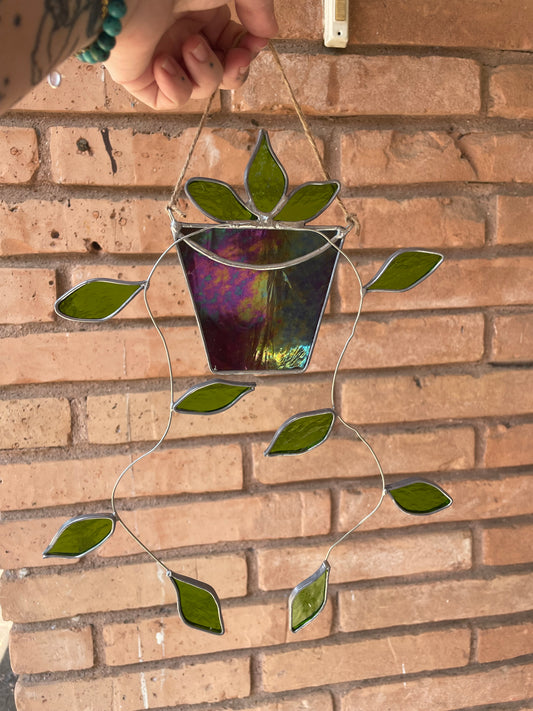 Hanging pothos in a purple pot