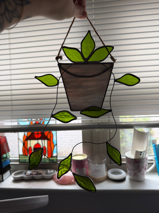 Hanging pothos plant in a gray