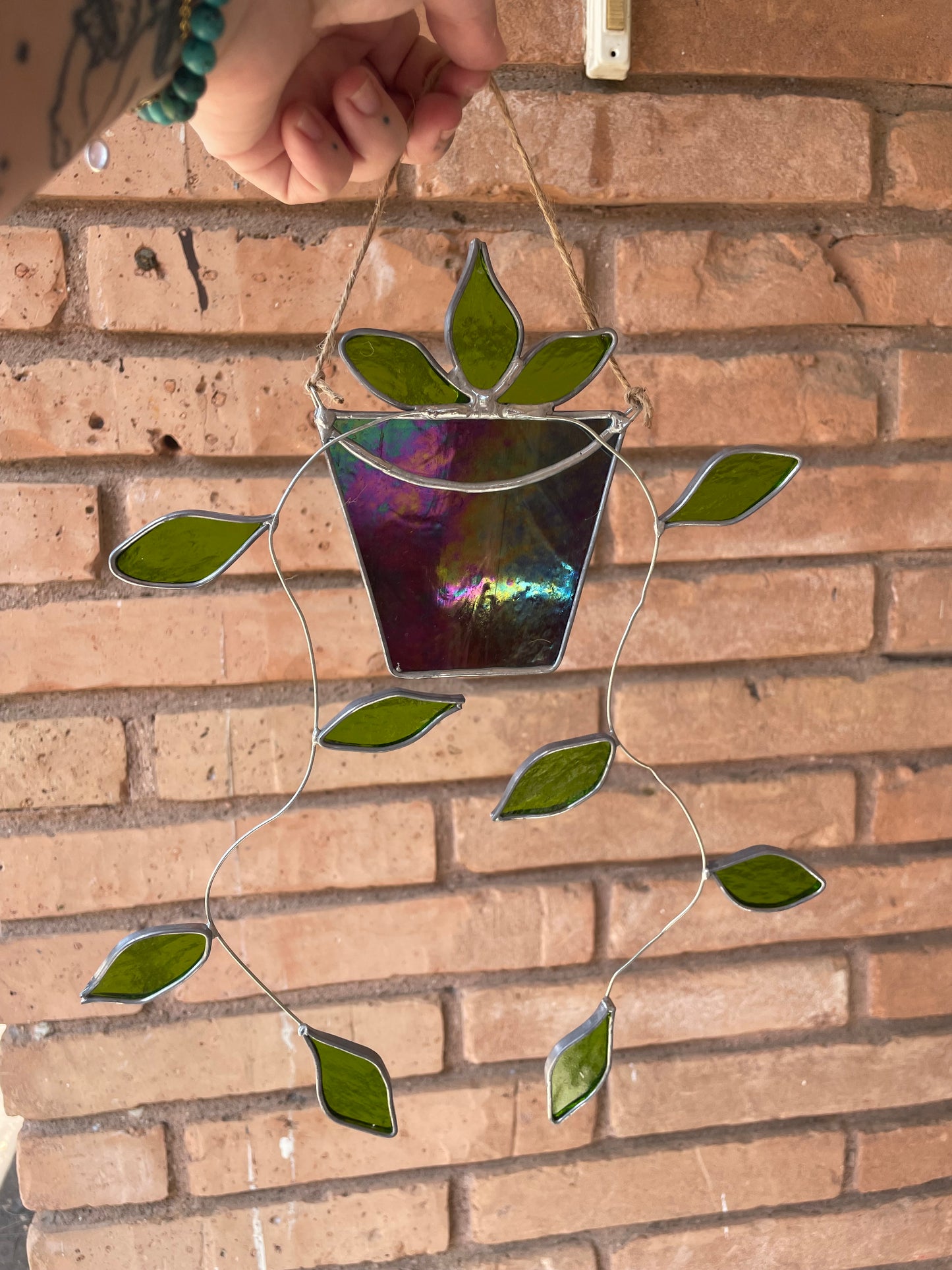 Hanging pothos in a purple pot
