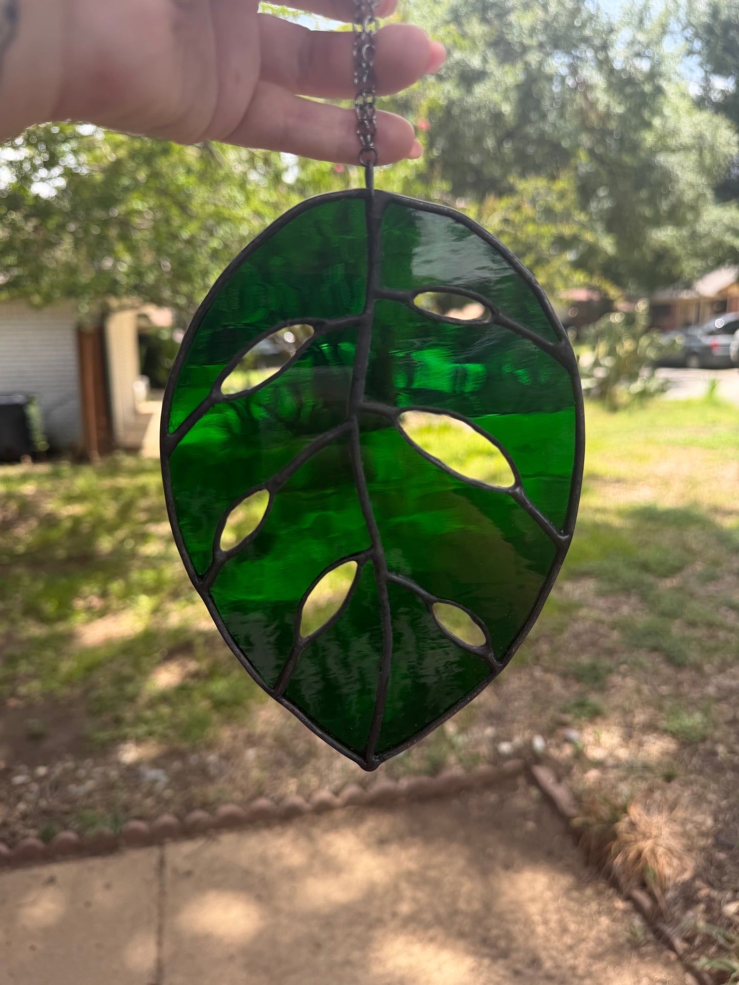 Translucent leaf