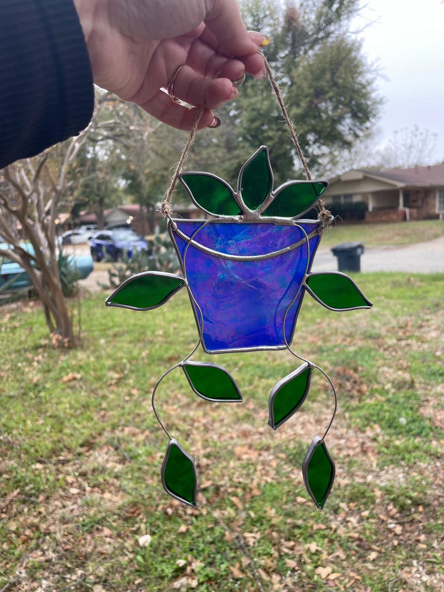 Hanging pothos plant in a irid blue pot