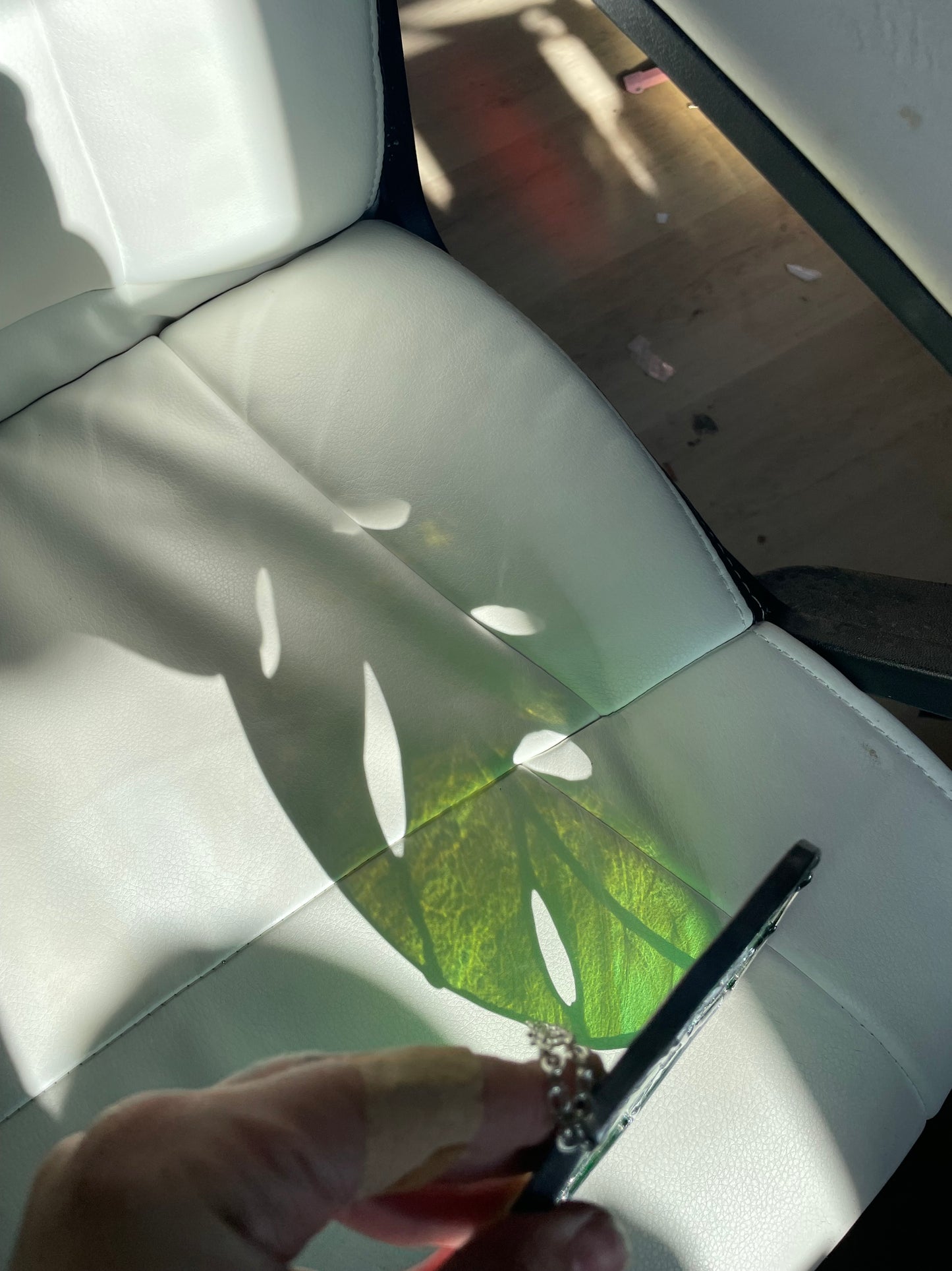 Swirled green monstera leaf