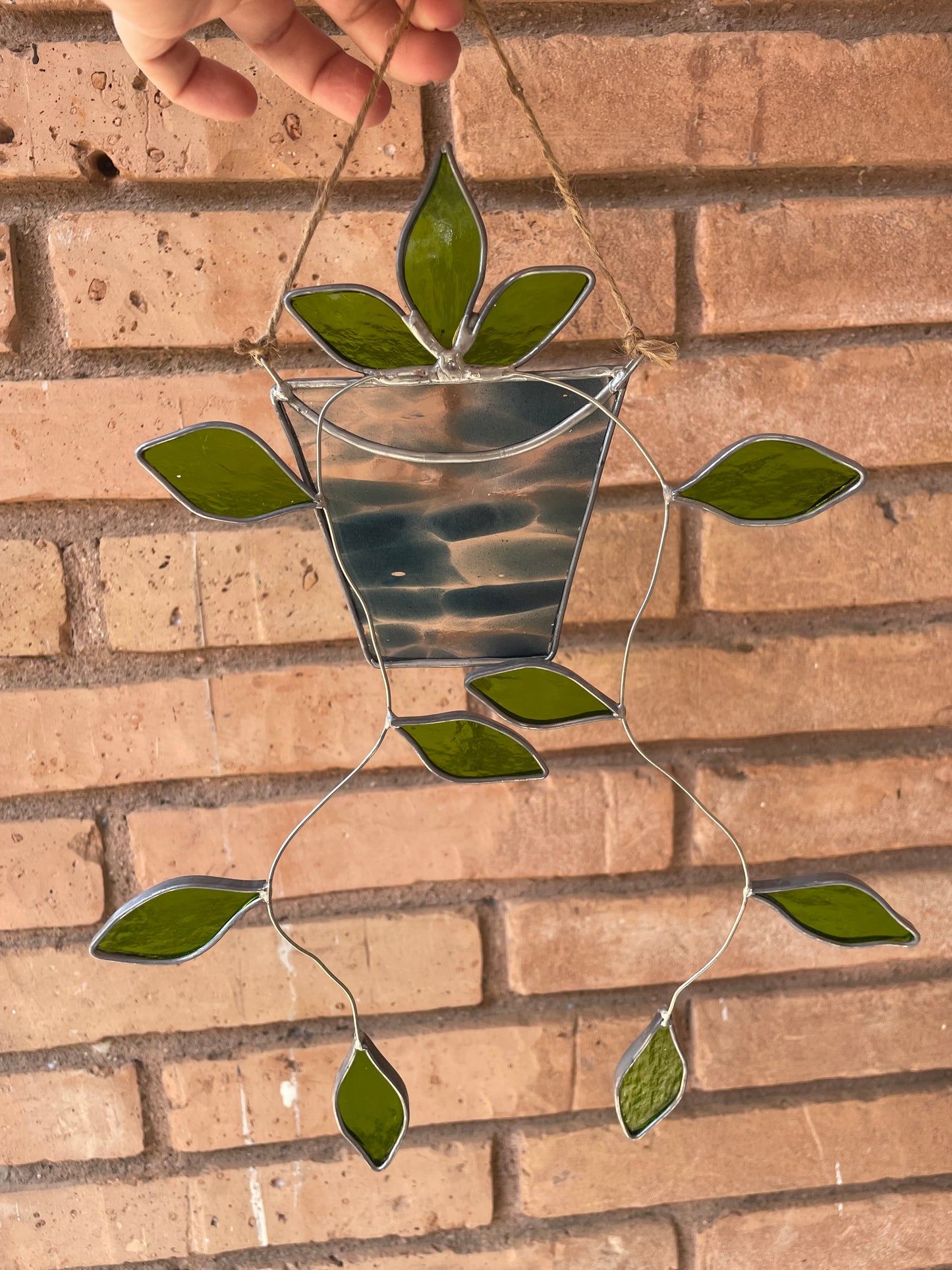 Hanging pothos in a spotted blue pot