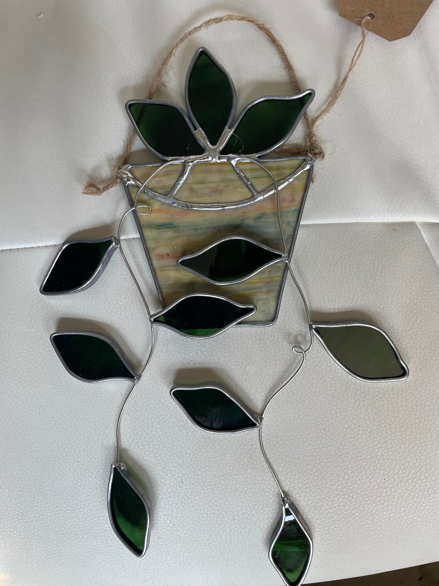 Hanging pothos in a multi-colored tan pot