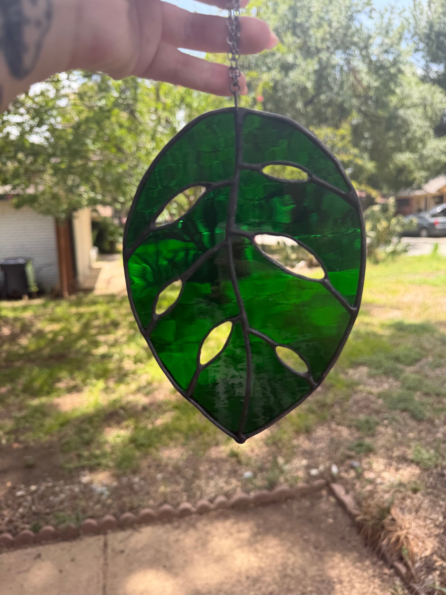 Translucent leaf