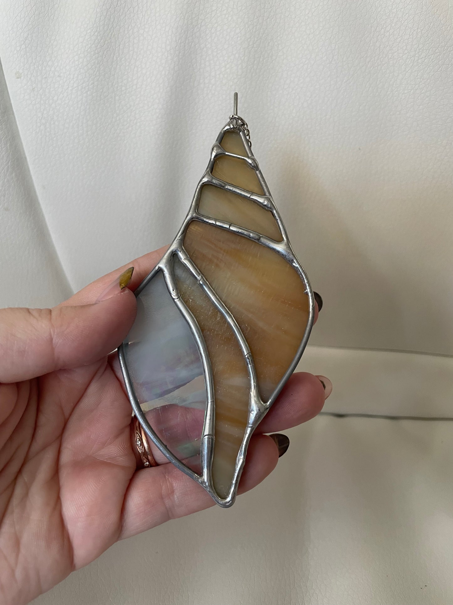 Sand iridescent seashell