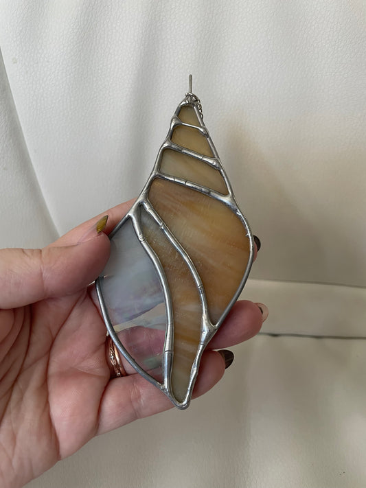 Sand iridescent seashell