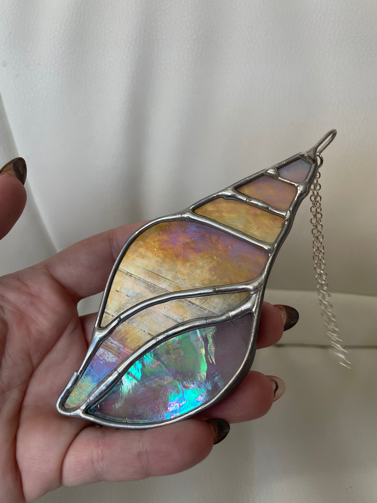Sand iridescent seashell