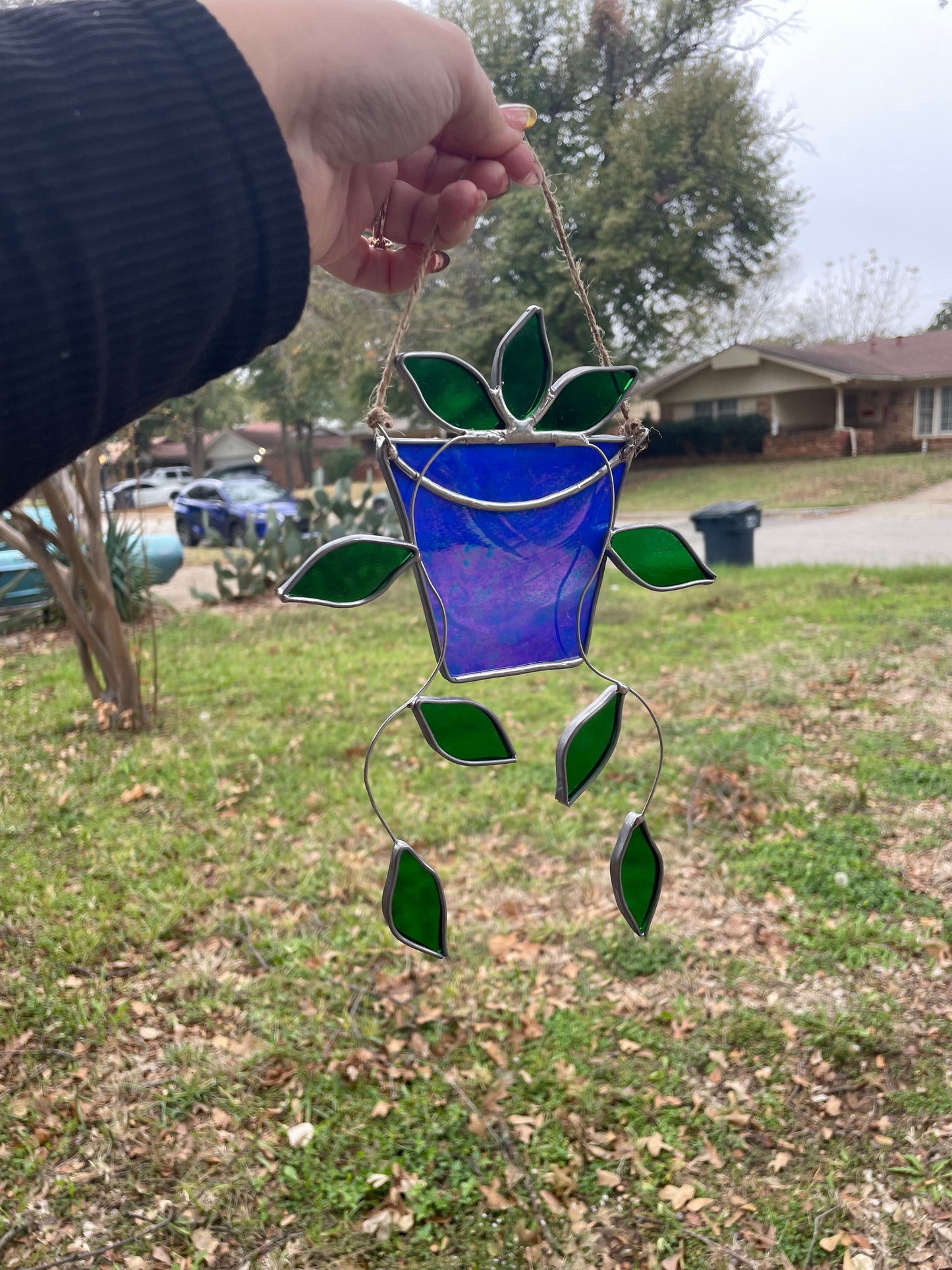 Hanging pothos plant in a irid blue pot