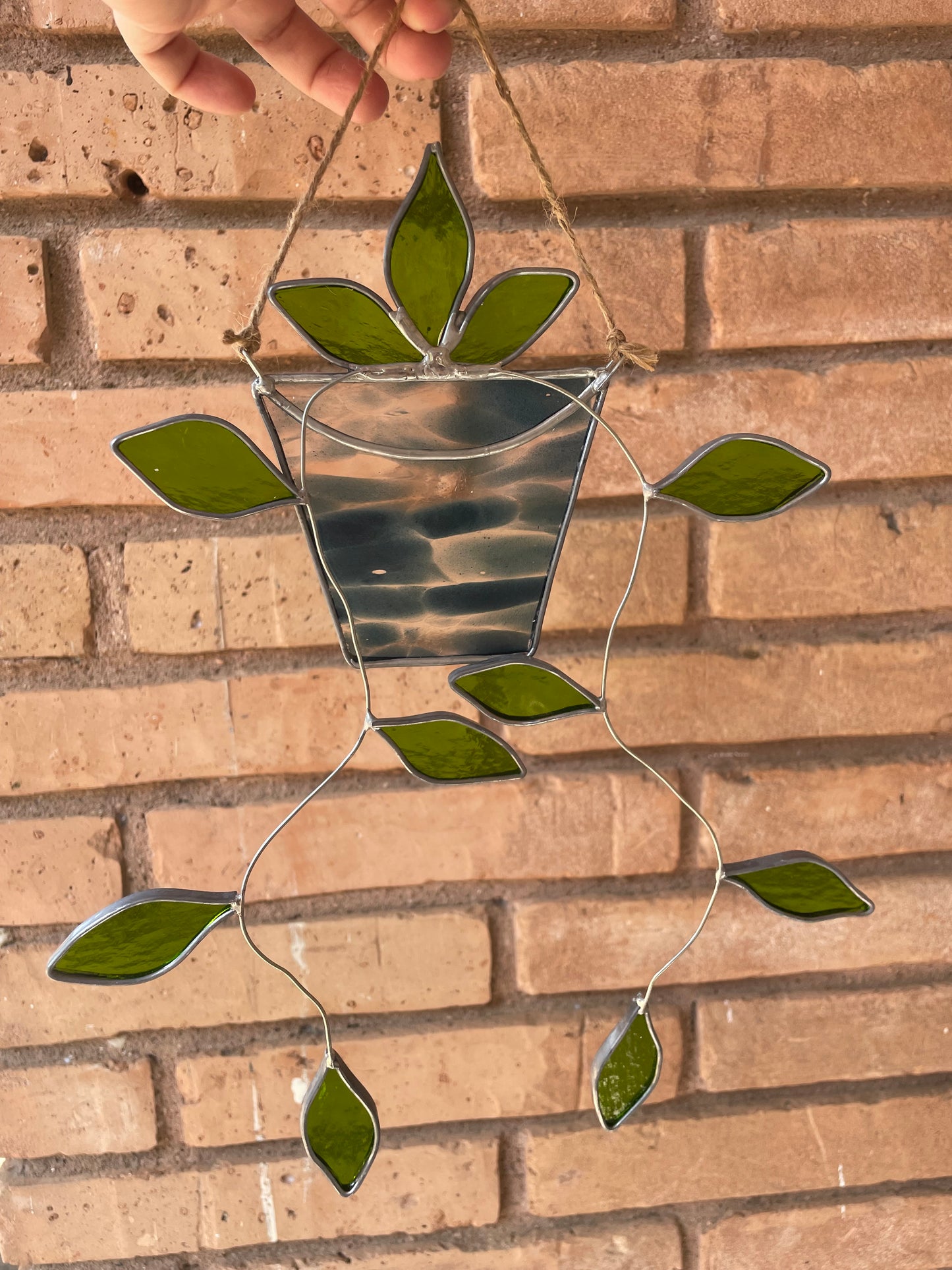 Hanging pothos in a spotted blue pot