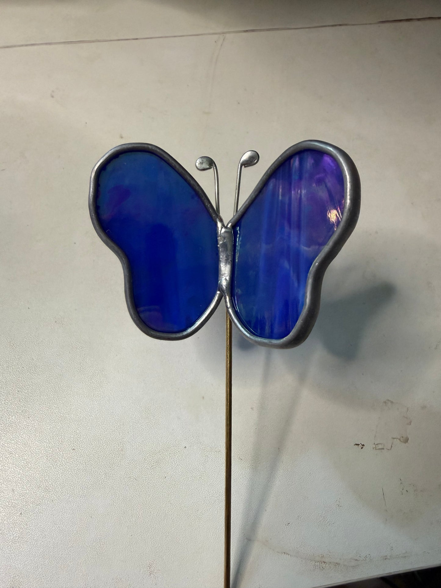 Dark blue butterfly plant stake