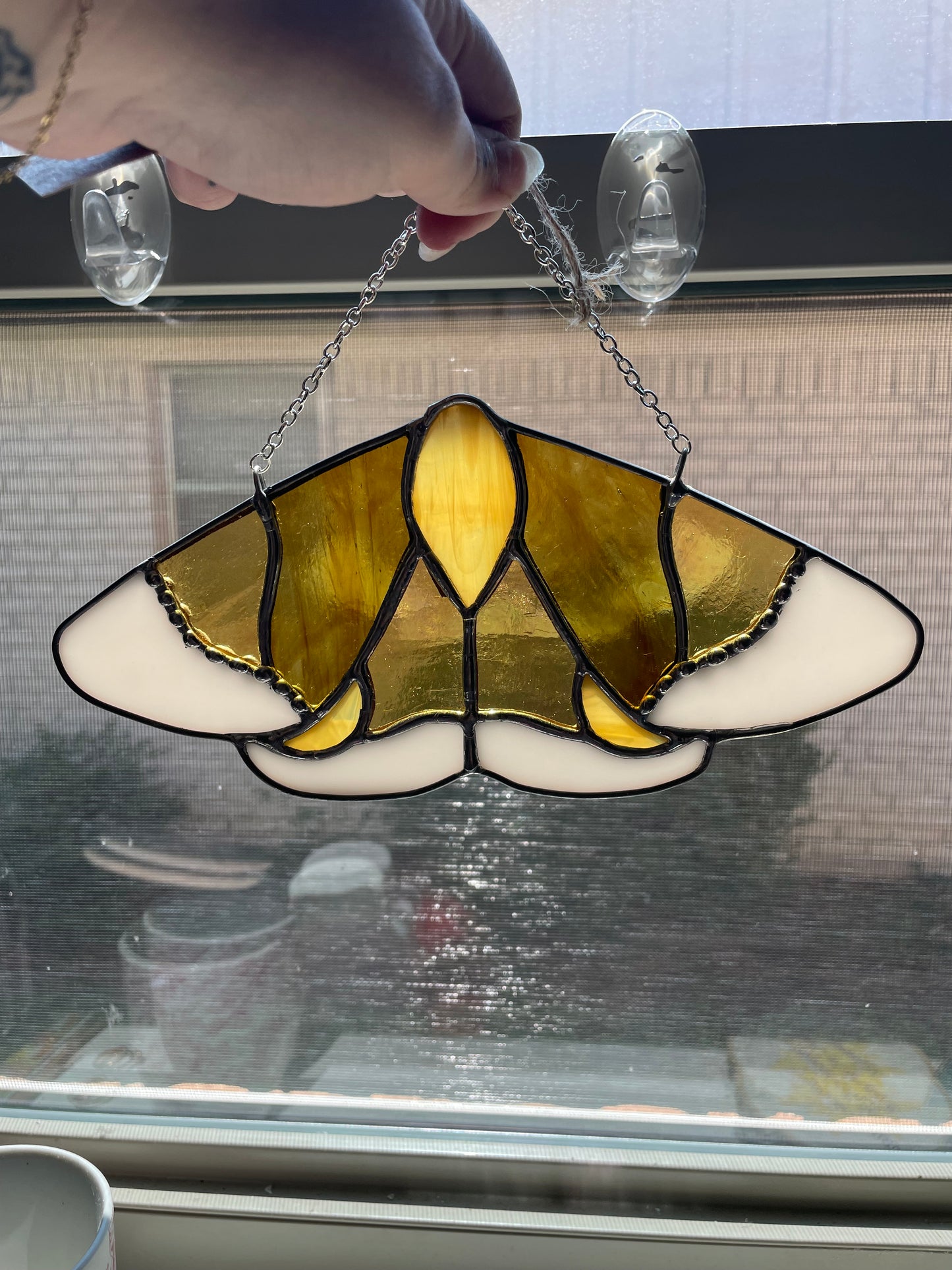 Golden hour moth