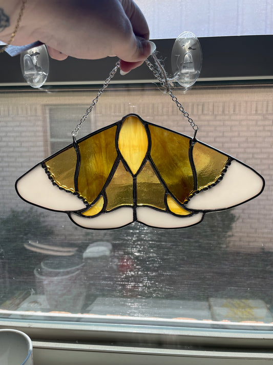 Golden hour moth