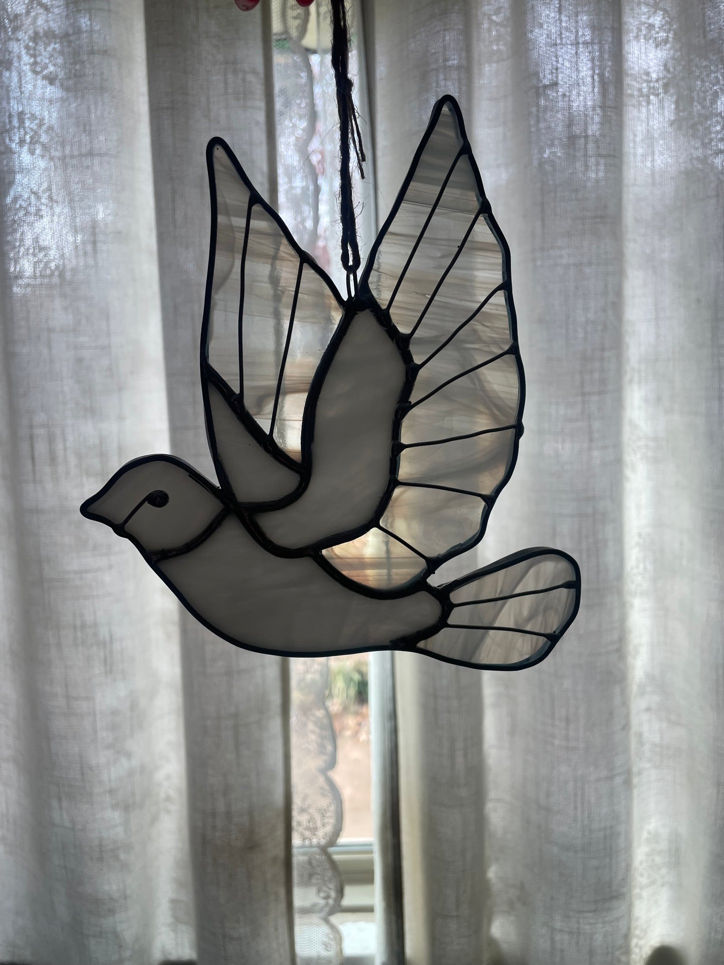 Dove of peace