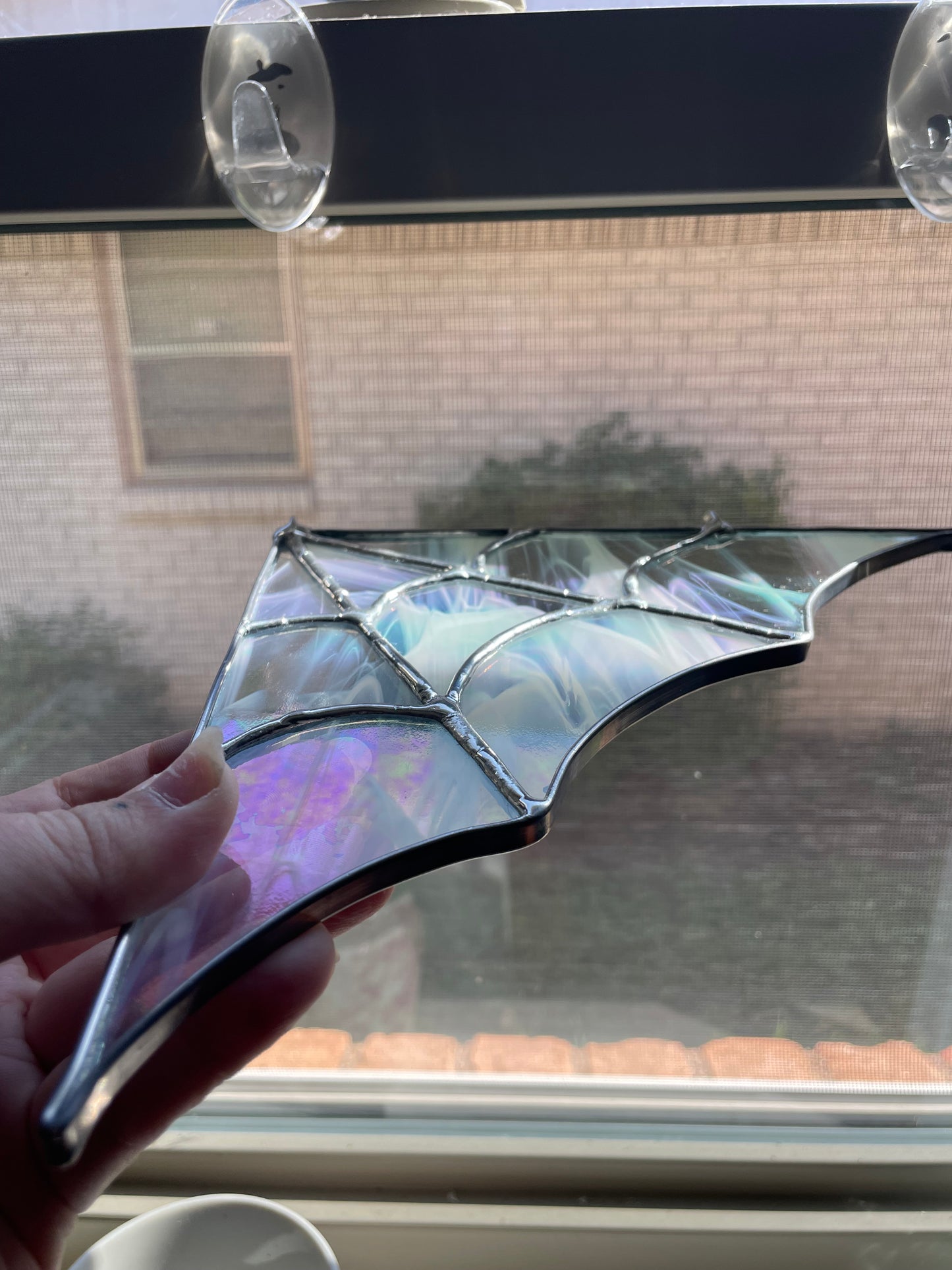 Iridescent whispy spider web