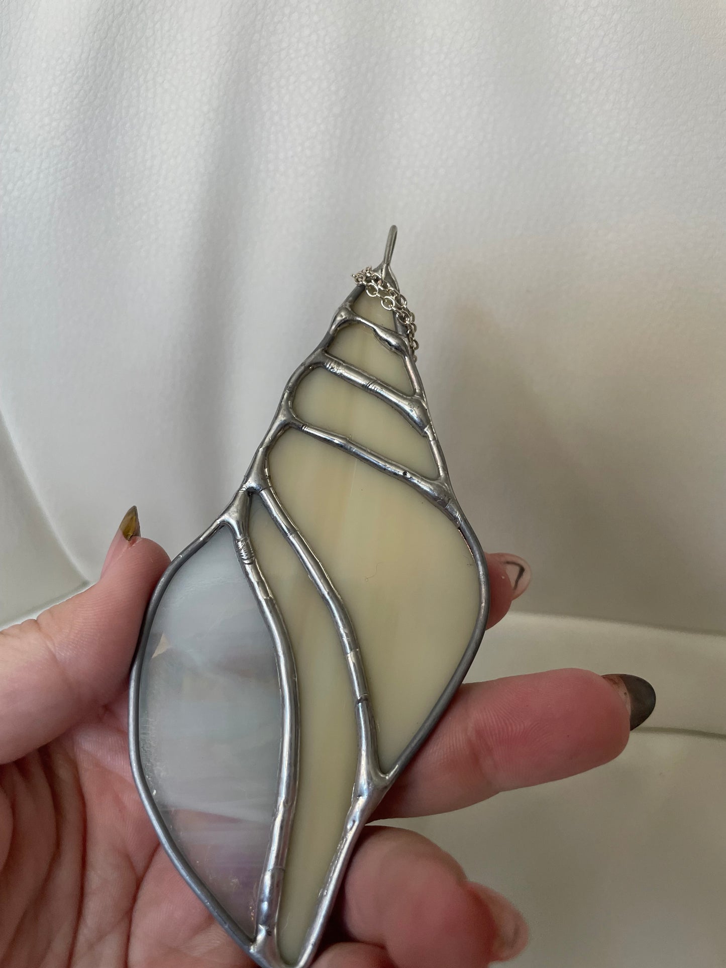 Cream iridescent seashell