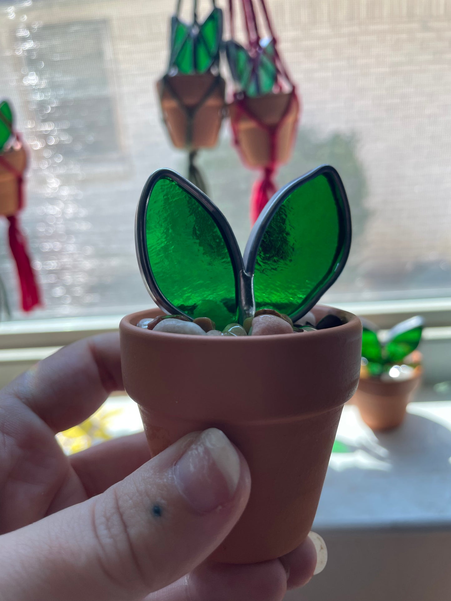 2” potted plant