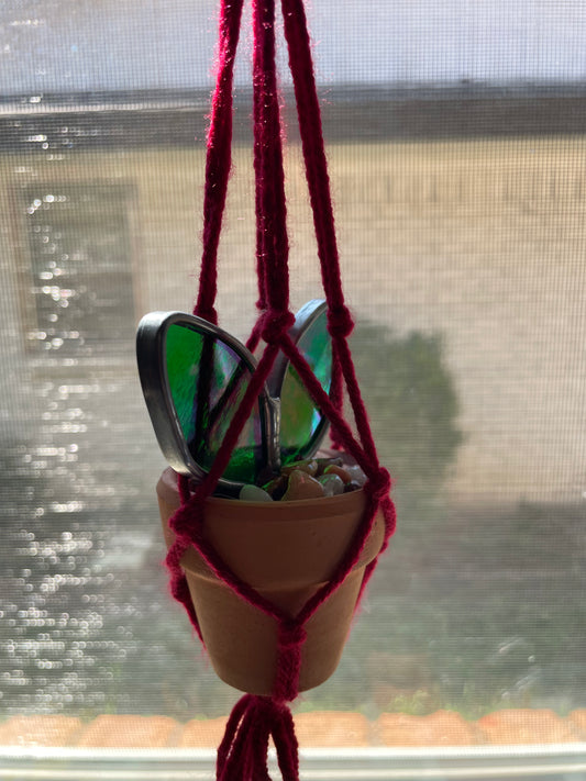 1.5” hanging potted plant with red string