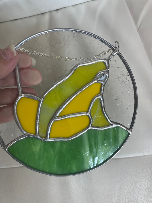 Yellow and green frog
