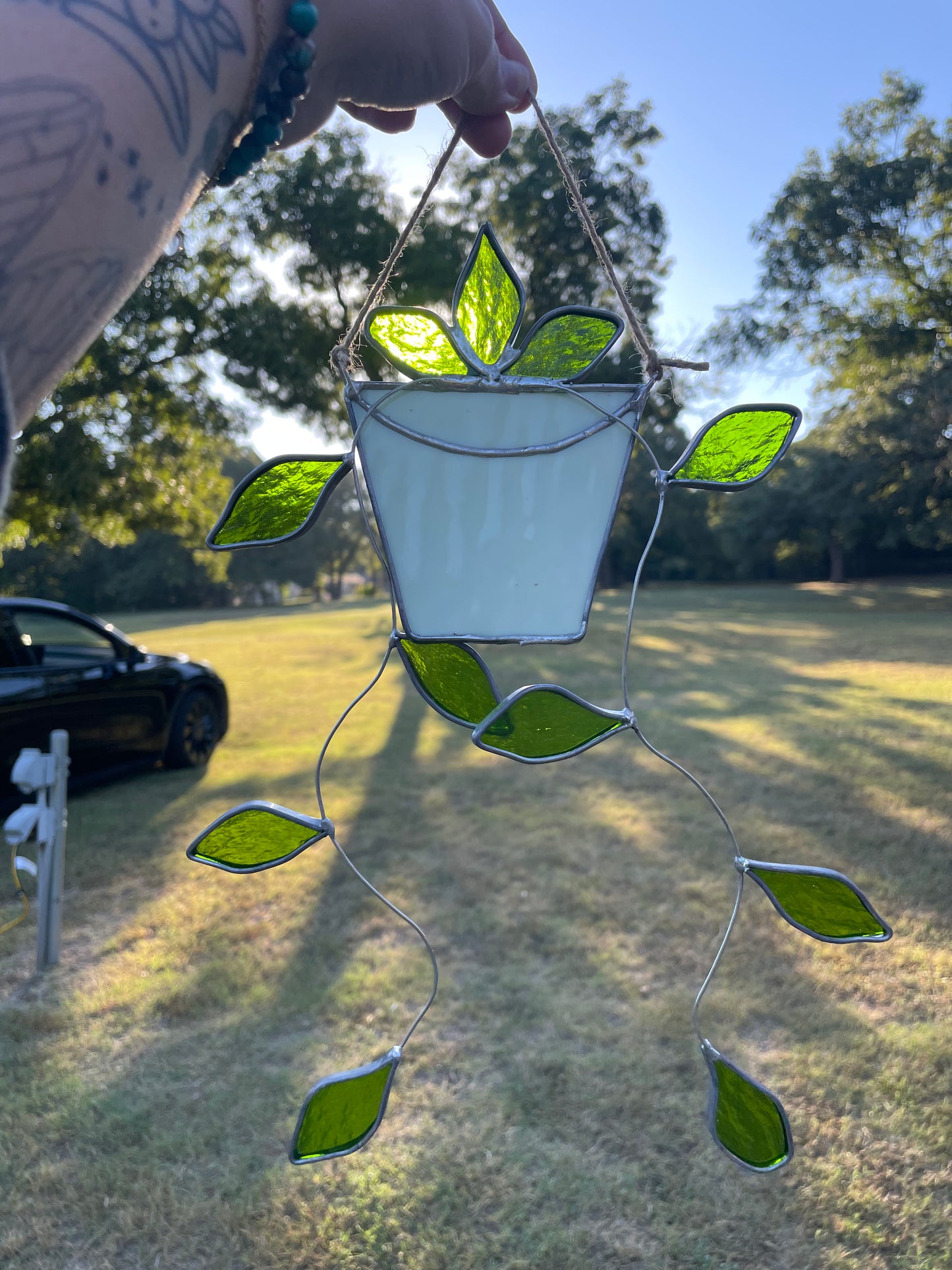 Hanging pothos with a white pot