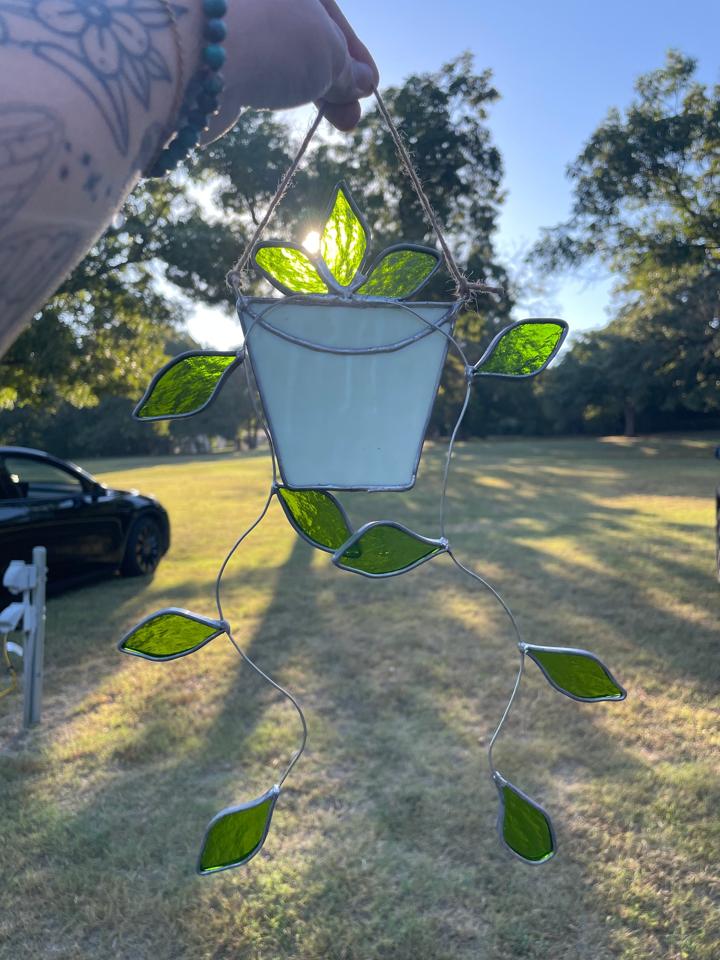 Hanging pothos with a white pot