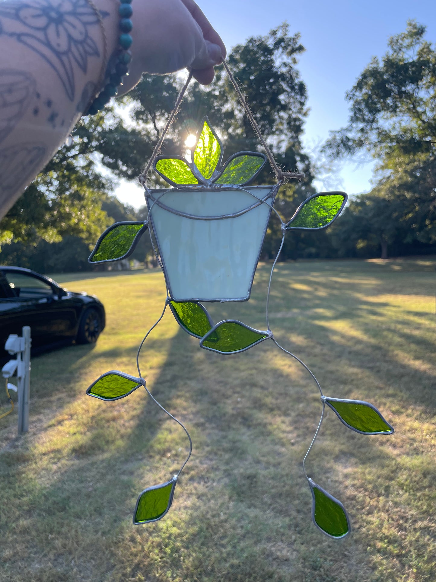 Hanging pothos with a white pot