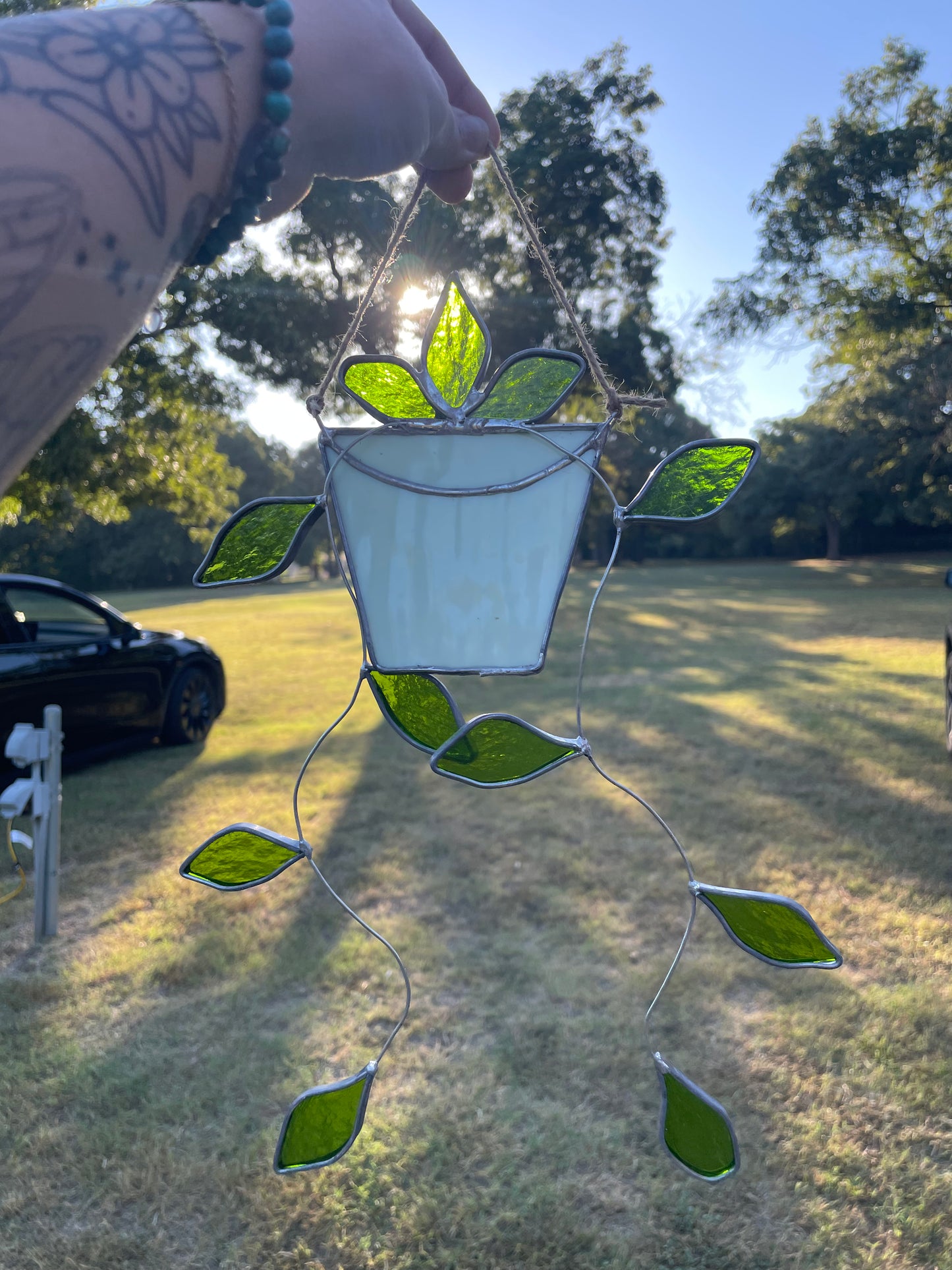 Hanging pothos with a white pot