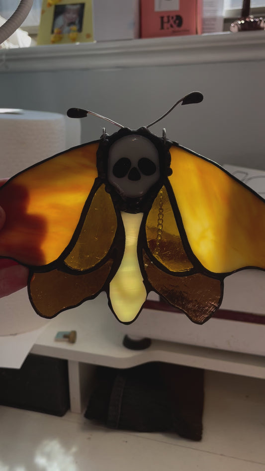 Deaths head moth